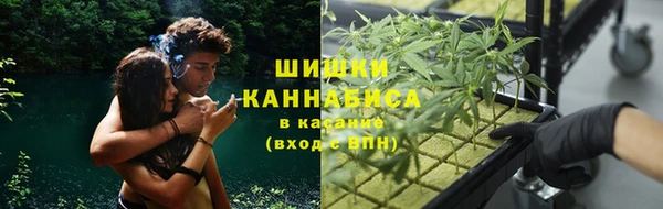 твердый Корсаков