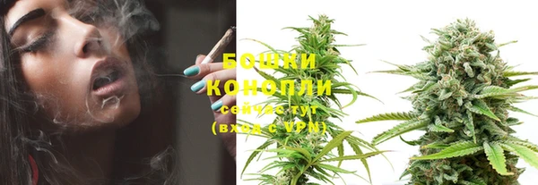 твердый Корсаков