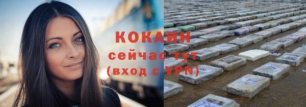 твердый Корсаков